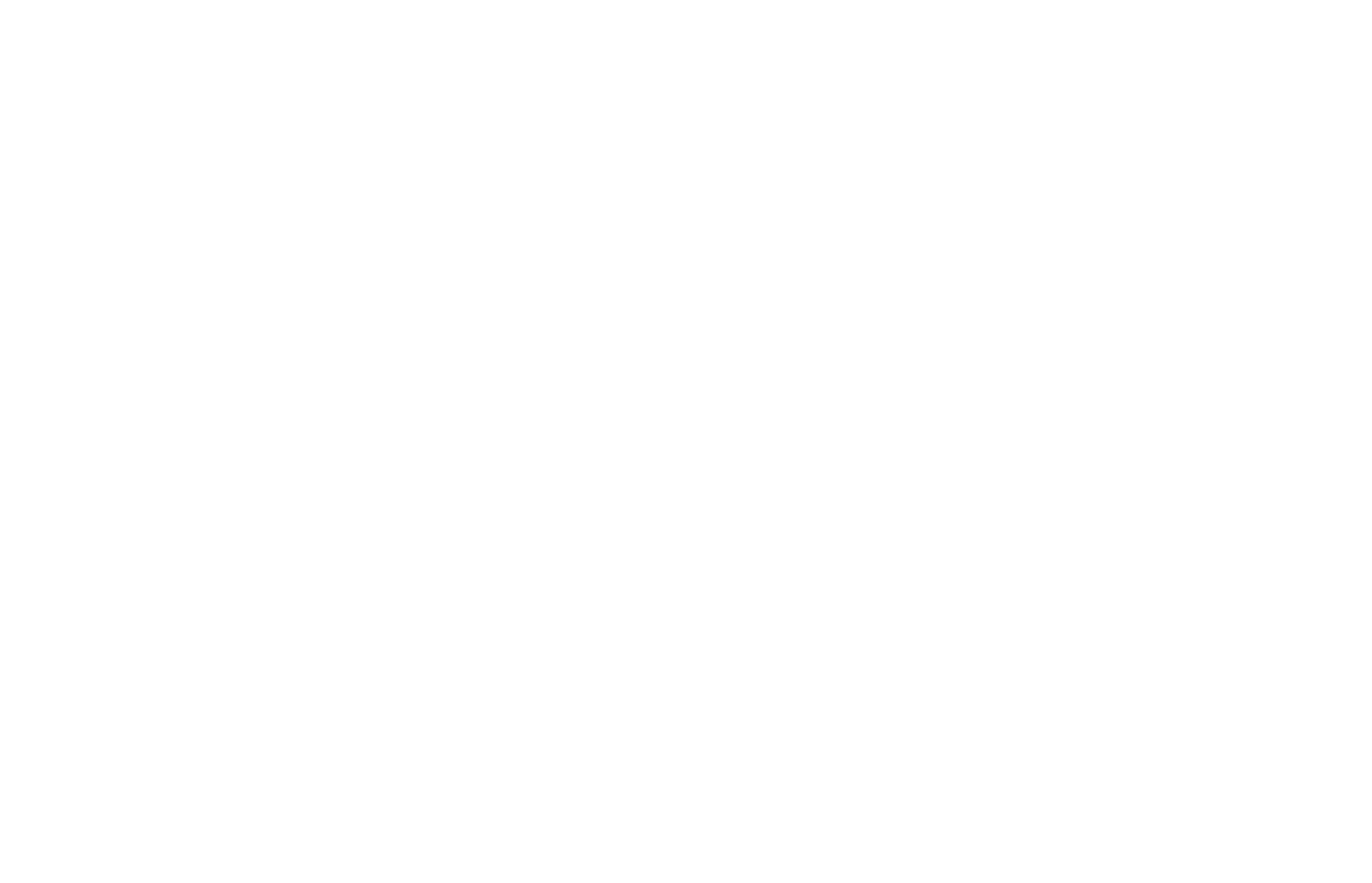 Logo White